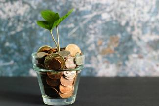 green plant in clear glass vase filled with coins