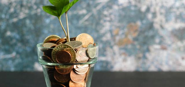 green plant in clear glass vase filled with coins